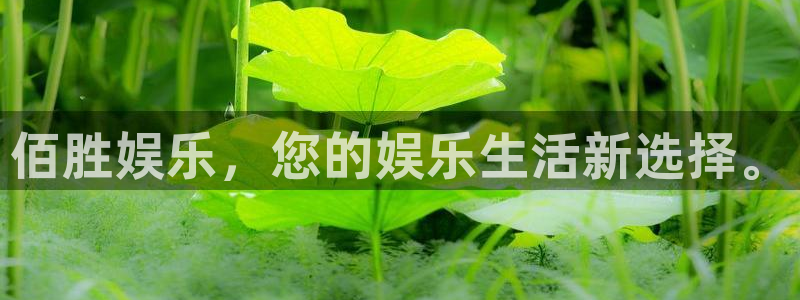 好彩运集团