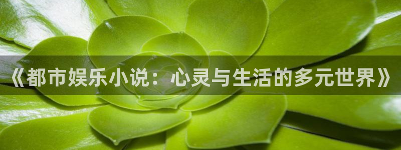 好彩运快：《都市娱乐小说：心灵与生活的多元世界》