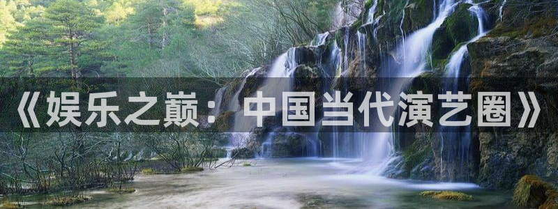好彩运意思：《娱乐之巅：中国当代演艺圈》