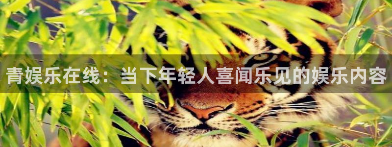 好彩运集团：青娱乐在线：当下年轻人喜闻乐见的娱乐内容