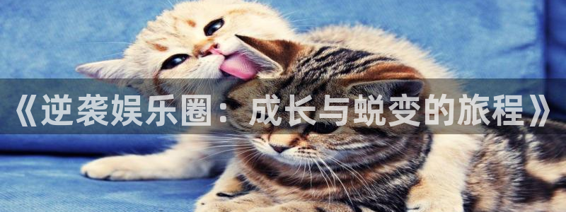 好彩运集团：《逆袭娱乐圈：成长与蜕变的旅程》