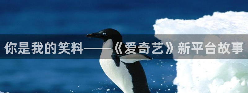 好彩运吧：你是我的笑料——《爱奇艺》新平台故事