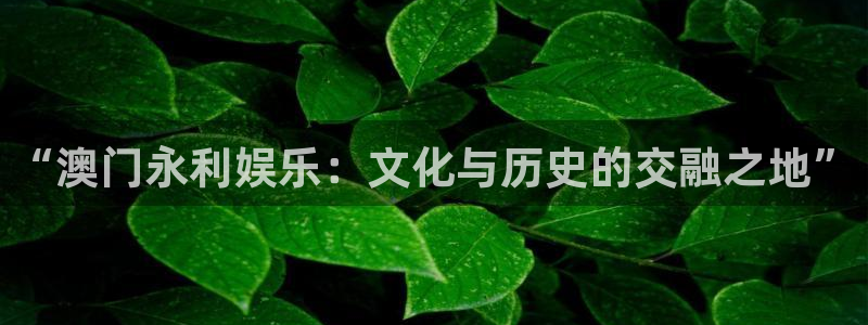好彩运黄金加特林：“澳门永利娱乐：文化与历史的交融之地”