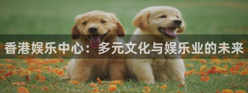 好彩运快：香港娱乐中心：多元文化与娱乐业的未来