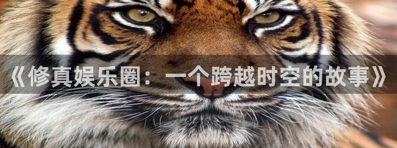 好彩运邀：《修真娱乐圈：一个跨越时空的故事》