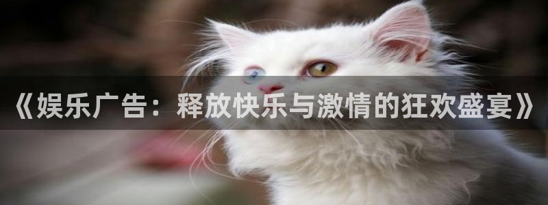 澳门好彩运集团：《娱乐广告：释放快乐与激情的狂欢盛宴》